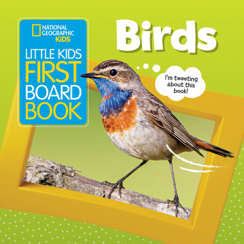 National Geographic Kids Little Kids First Board Book: Birds (Little Kids First Board Book) book cover by Ruth A. Musgrave, National Geographic Kids