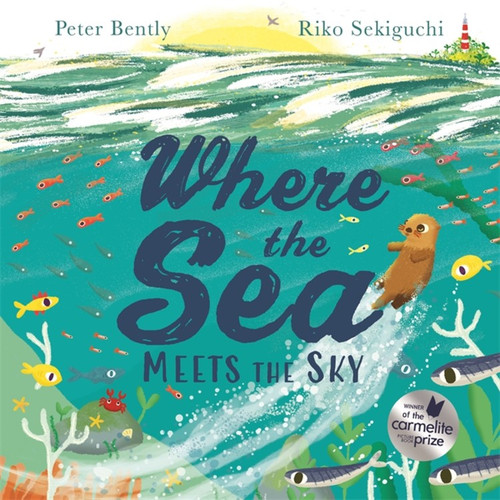 Where the Sea Meets the Sky book cover by Peter Bently