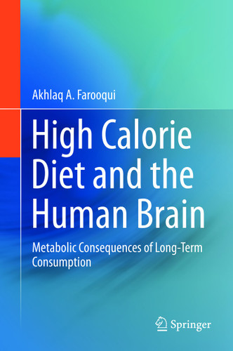 High Calorie Diet and the Human Brain: Metabolic Consequences of Long-Term Consumption book cover by Akhlaq A. Farooqui