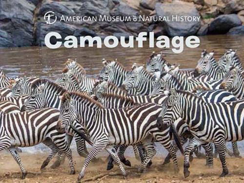 Camouflage (Science for Toddlers) book cover by American Museum of Natural History