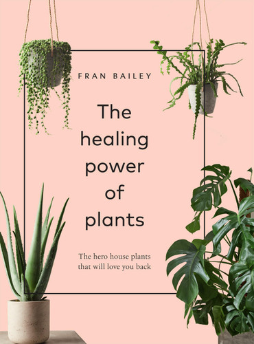 The Healing Power of Plants: The Hero Houseplants That Will Love You Back book cover by Fran Bailey