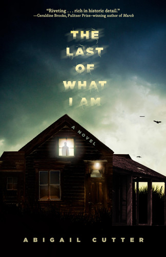 The Last of What I Am: A Novel book cover by Abigail Cutter