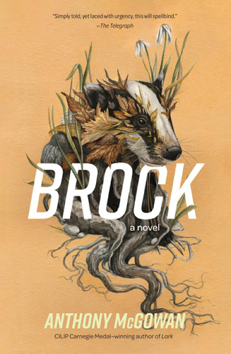 Brock: A Novel (Everyone Can Be a Reader (Hard Truths) #1) book cover by Anthony McGowan