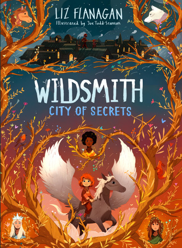 City of Secrets (Wildsmith) book cover by Liz Flanagan