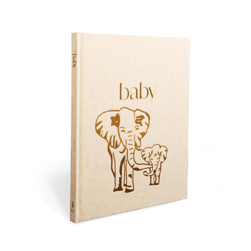 Baby: A Keepsake Memory Book book cover by LouLou Baker
