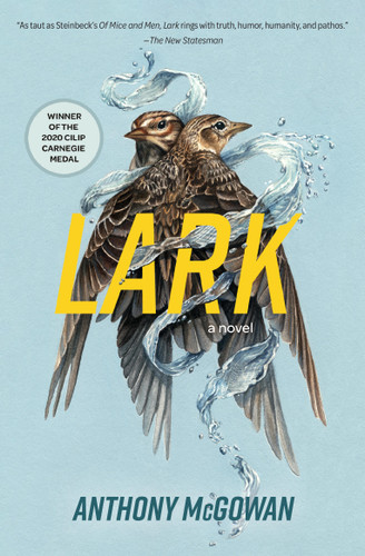 Lark: A Novel (Everyone Can Be a Reader (Hard Truths) #4) book cover by Anthony McGowan