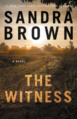 The Witness book cover by Sandra Brown