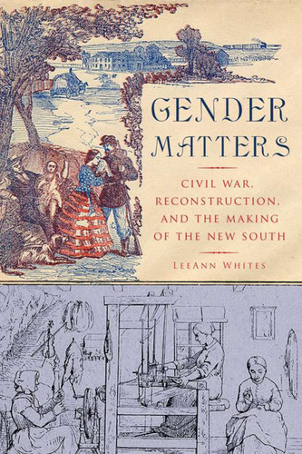 Gender Matters: Race, Class and Sexuality in the Nineteenth-Century South book cover by L. Whites