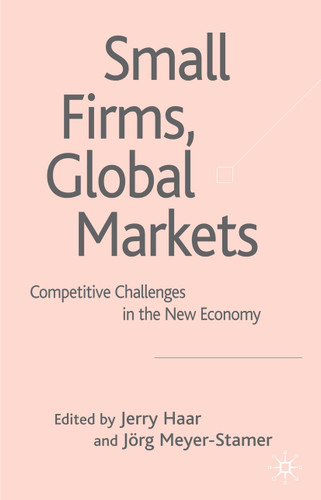 Small Firms, Global Markets: Competitive Challenges in the New Economy book cover by 