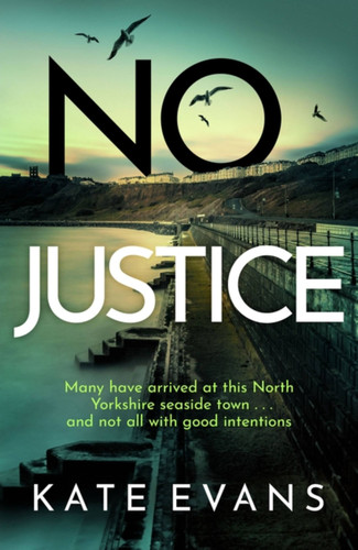 No Justice (DC Donna Morris) book cover by Kate Evans