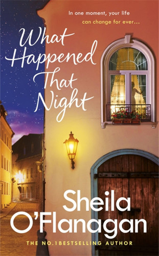 What Happened That Night book cover by Sheila O'Flanagan