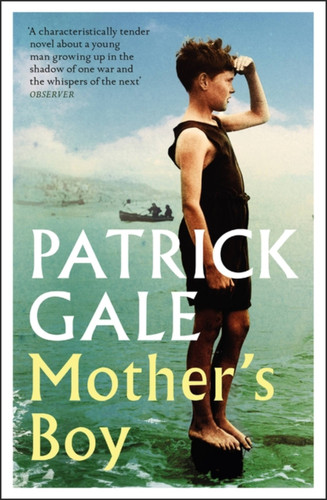 Mother's Boy: A beautifully crafted novel of war, Cornwall, and the relationship between a mother and son book cover by Patrick Gale