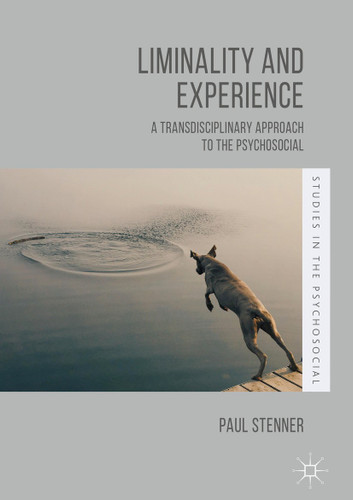 Liminality and Experience: A Transdisciplinary Approach to the Psychosocial (Studies in the Psychosocial) book cover by Paul Stenner