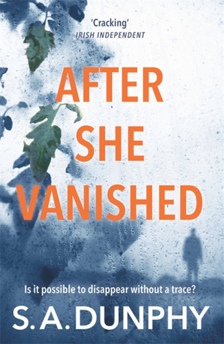 After She Vanished book cover by S.A. Dunphy