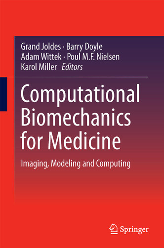 Computational Biomechanics for Medicine: Imaging, Modeling and Computing book cover by 
