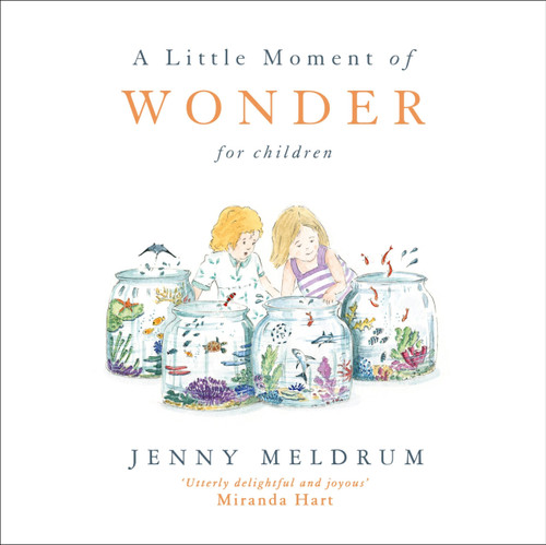 A Little Moment of Wonder for Children book cover by Jenny Meldrum