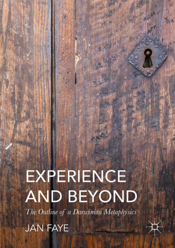 Experience and Beyond: The Outline of A Darwinian Metaphysics book cover by Jan Faye