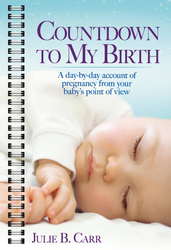 Countdown To My Birth: A Day-by-Day Account of Pregnancy from Your Baby's Point of View book cover by Julie B. Carr