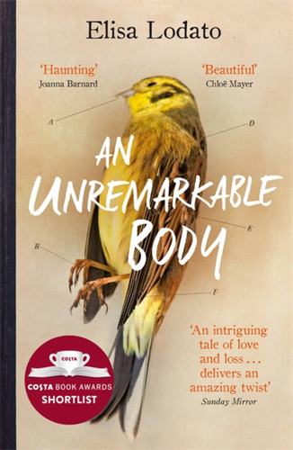 An Unremarkable Body: A stunning literary debut with a twist book cover by Elisa Lodato