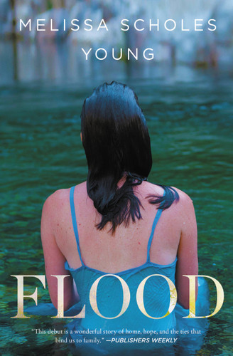 Flood: A Novel book cover by Melissa Scholes Young