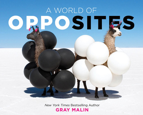 A World of Opposites: A Picture Book book cover by Gray Malin