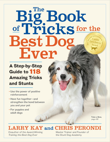 The Big Book of Tricks for the Best Dog Ever: A Step-by-Step Guide to 118 Amazing Tricks and Stunts book cover by Chris Perondi, Larry Kay