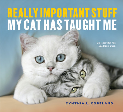 Really Important Stuff My Cat Has Taught Me book cover by Cynthia L. Copeland