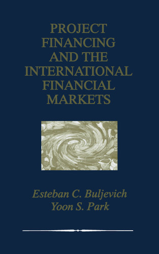 Project Financing and the International Financial Markets book cover by Esteban C. Buljevich, Yoon S. Park