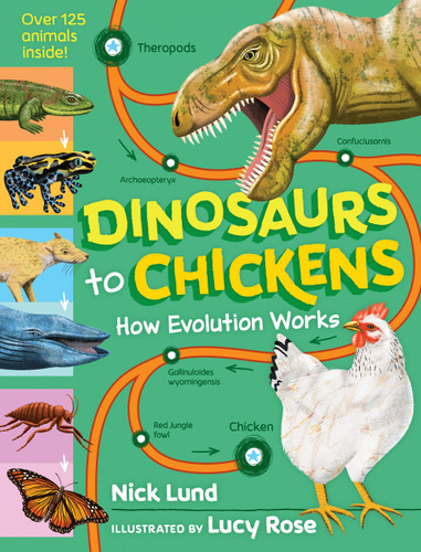 Dinosaurs to Chickens: How Evolution Works book cover by Nick Lund