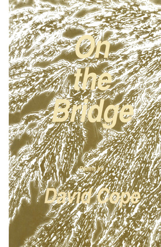 On the Bridge (Vox Humana) book cover by David Cope