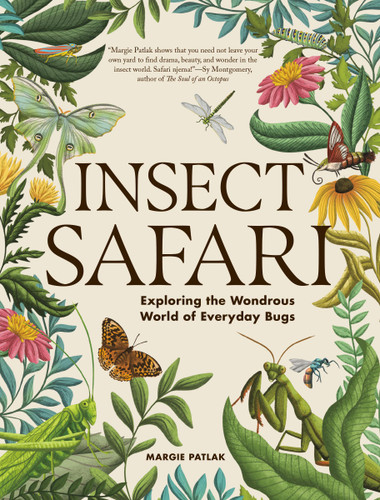 Insect Safari: Exploring the Wondrous World of Everyday Bugs book cover by Margie Patlak