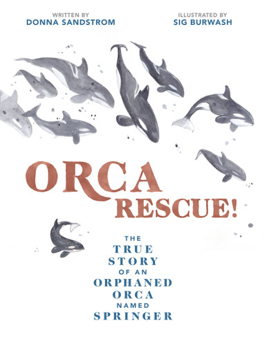 Orca Rescue!: The True Story of an Orphaned Orca Named Springer book cover by Donna Sandstrom