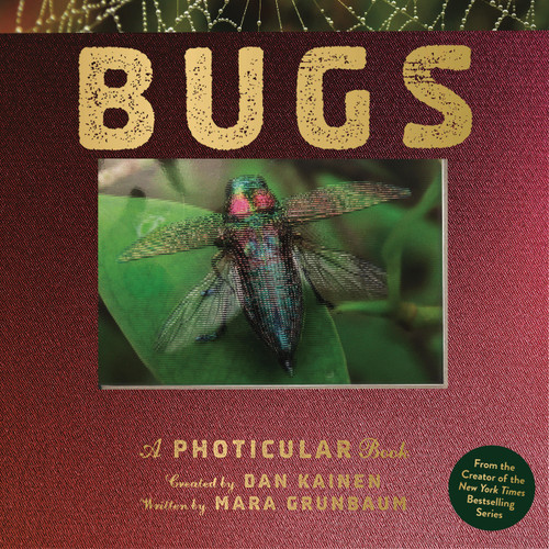 Bugs: A Photicular Book (Photicular) book cover by Dan Kainen