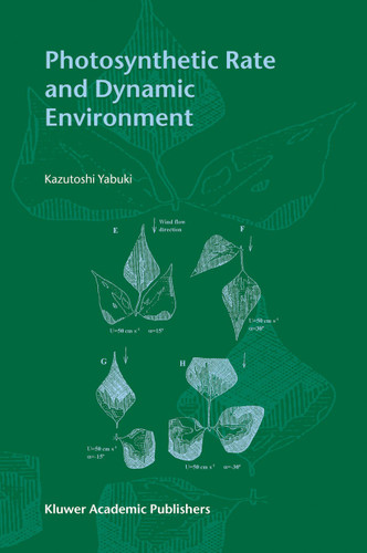 Photosynthetic Rate and Dynamic Environment book cover by Kazutoshi Yabuki