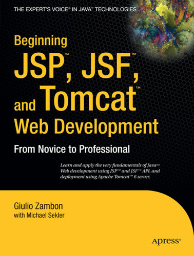 Beginning JSP , JSF and Tomcat Web Development: From Novice to Professional book cover by Giulio Zambon, Michael Sekler