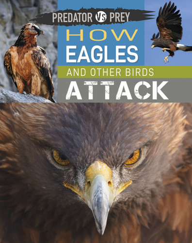 Predator vs Prey: How Eagles and other Birds Attack! (Predator vs Prey) book cover by Tim Harris