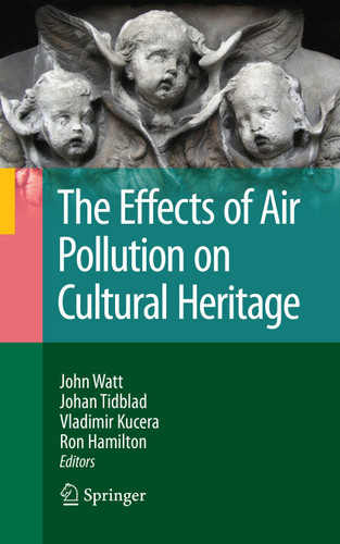 The Effects of Air Pollution on Cultural Heritage book cover by 