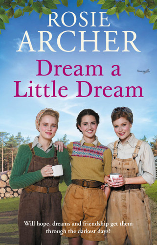 Dream a Little Dream book cover by Rosie Archer