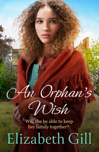 An Orphan's Wish book cover by Elizabeth Gill