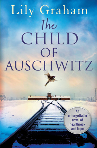 The Child of Auschwitz book cover by Lily Graham