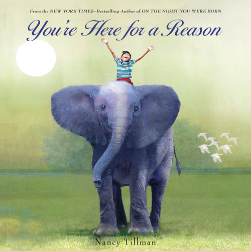 You're Here for a Reason book cover by Nancy Tillman