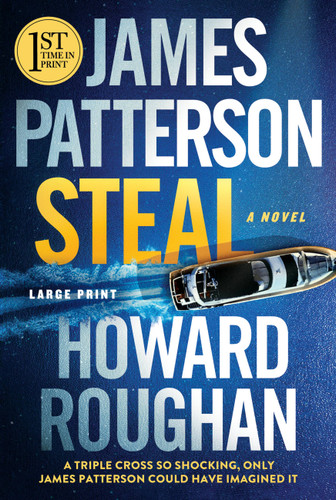 Steal book cover by James Patterson, Howard Roughan