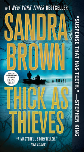 Thick as Thieves book cover by Sandra Brown