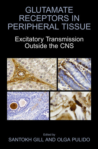 Glutamate Receptors in Peripheral Tissue: Excitatory Transmission Outside the CNS book cover by 