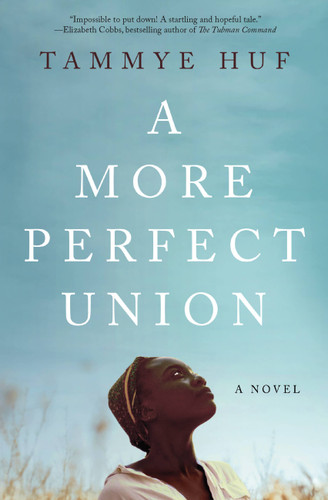 A More Perfect Union book cover by Tammye Huf