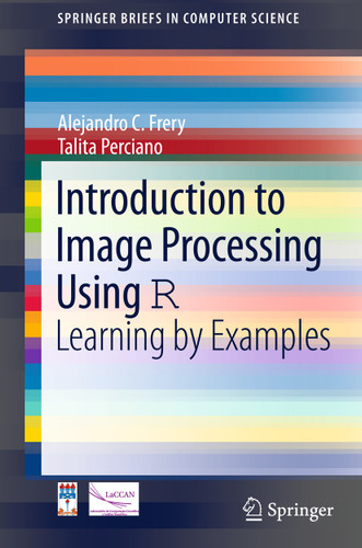 Introduction to Image Processing Using R: Learning by Examples (SpringerBriefs in Computer Science) book cover by Alejandro C. Frery, Talita Perciano