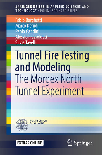 Tunnel Fire Testing and Modeling: The Morgex North Tunnel Experiment (SpringerBriefs in Applied Sciences and Technology) book cover by Fabio Borghetti, Marco Derudi, Paolo Gandini, Alessio Frassoldati, Silvia Tavelli