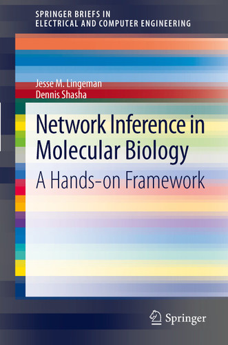 Network Inference in Molecular Biology: A Hands-on Framework (SpringerBriefs in Electrical and Computer Engineering) book cover by Jesse M. Lingeman, Dennis Shasha