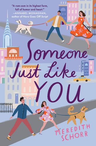 Someone Just Like You book cover by Meredith Schorr