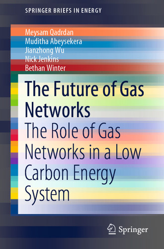 The Future of Gas Networks: The Role of Gas Networks in a Low Carbon Energy System (SpringerBriefs in Energy) book cover by Meysam Qadrdan, Muditha Abeysekera, Jianzhong Wu, Nick Jenkins, Bethan Winter